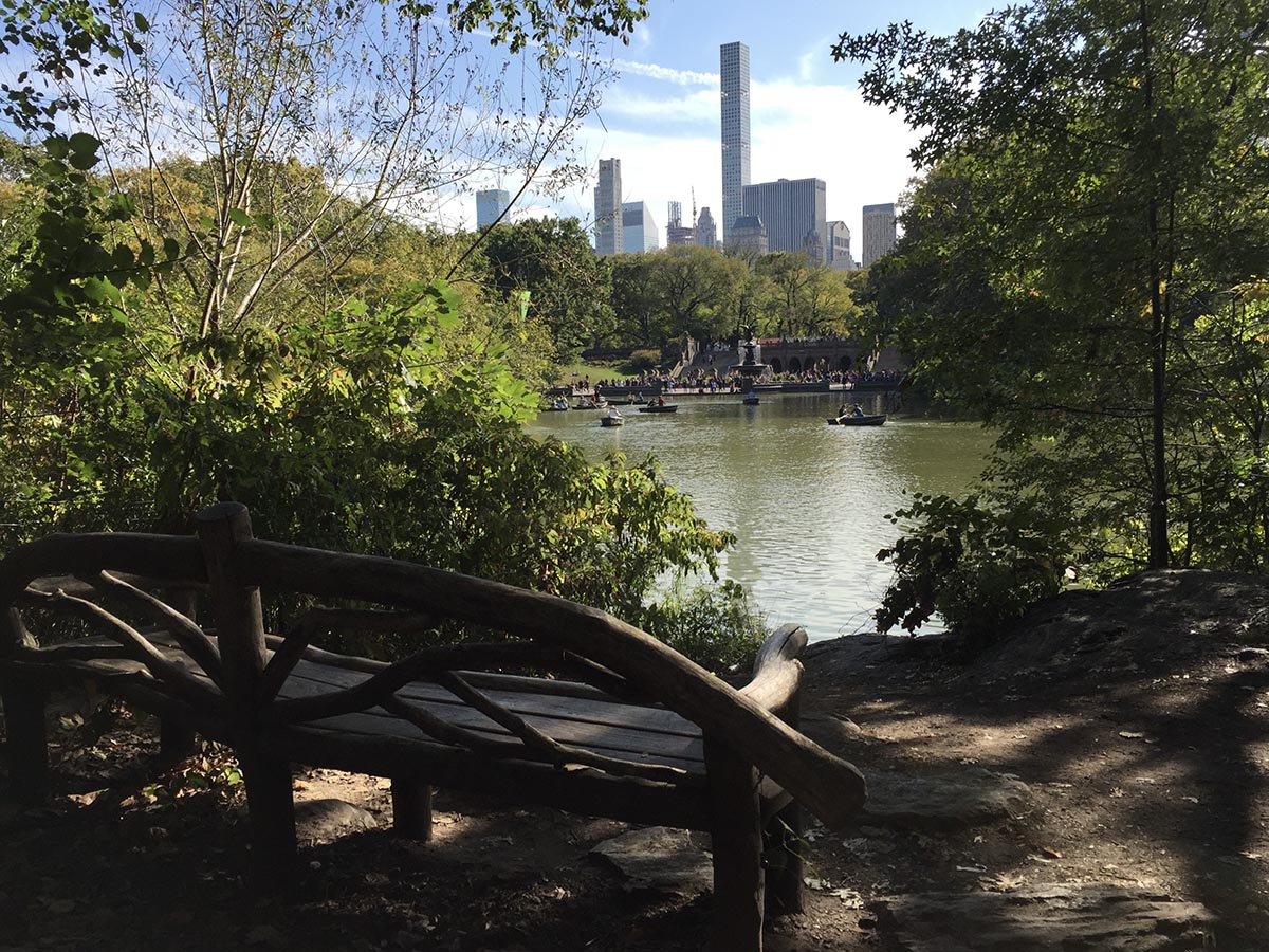 MIDTOWN MANHATTAN AND CENTRAL PARK PRIVATE TOUR